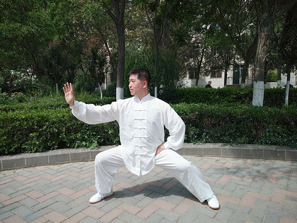 拳照