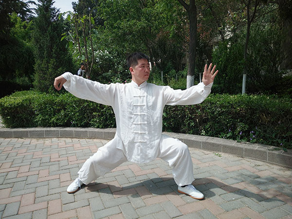 拳照