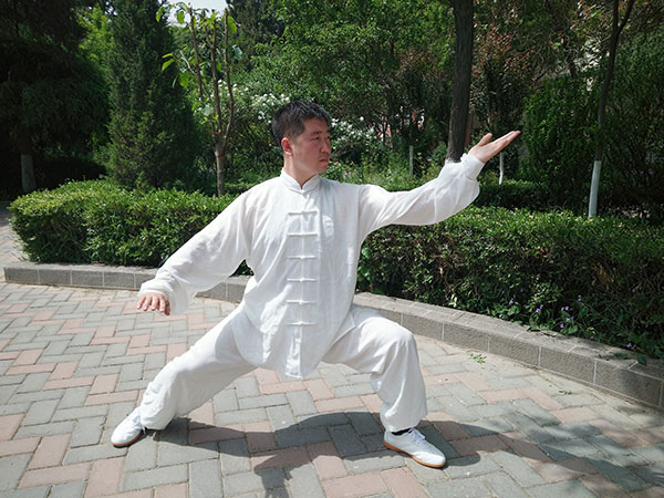 拳照