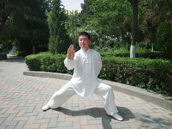 拳照