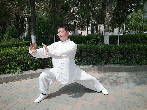 拳照