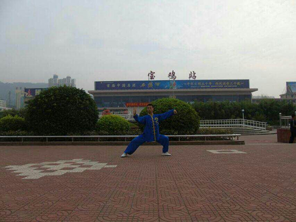拳照