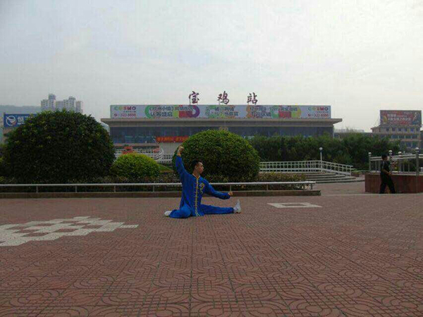拳照