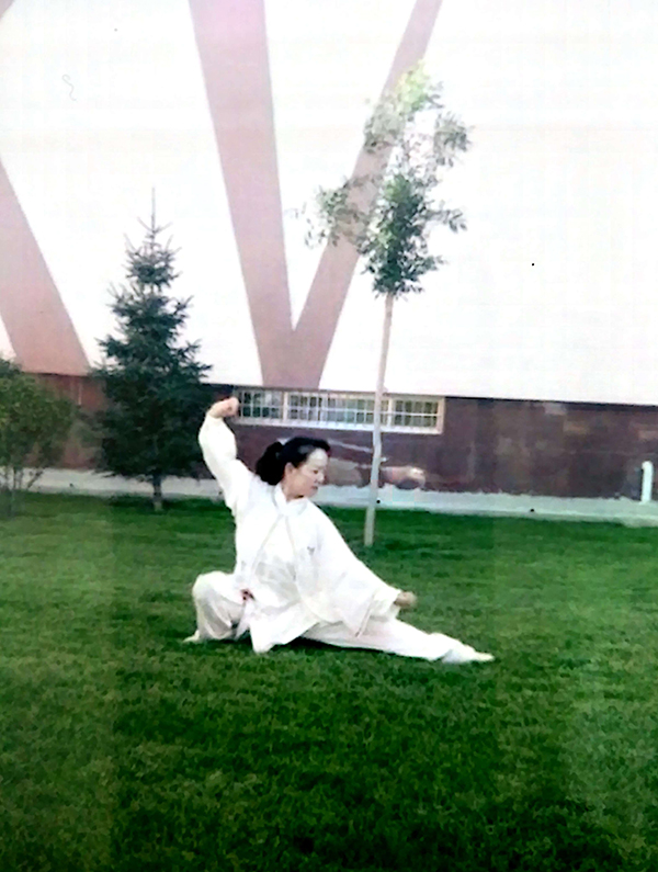 拳照
