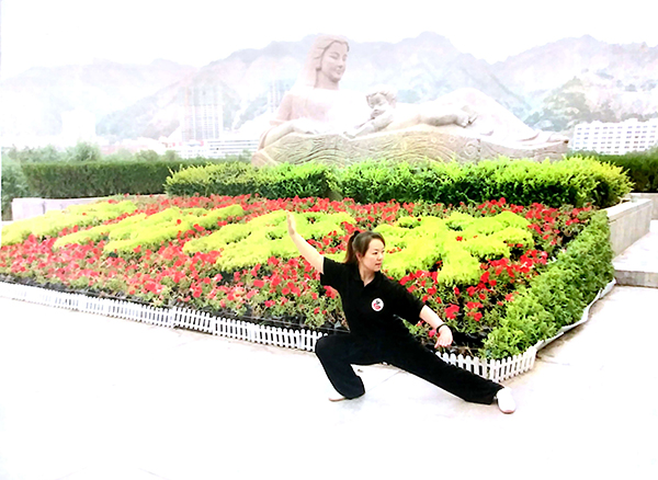 拳照
