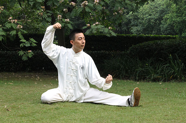 拳照