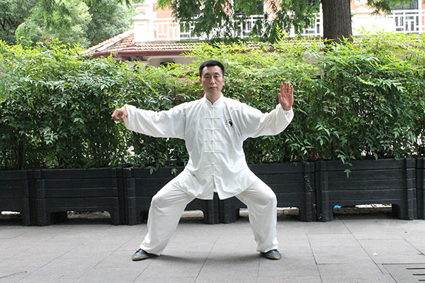 拳照