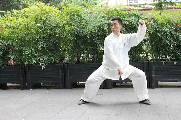 拳照