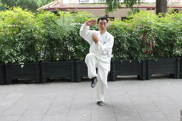 拳照