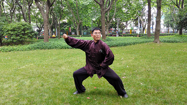 拳照