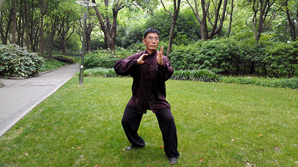 拳照