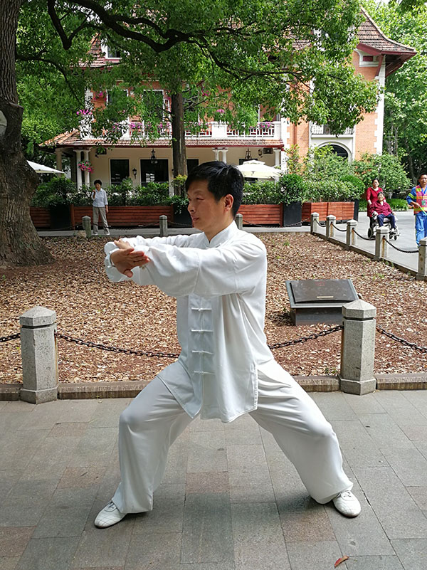 拳照