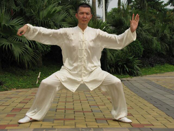 拳照