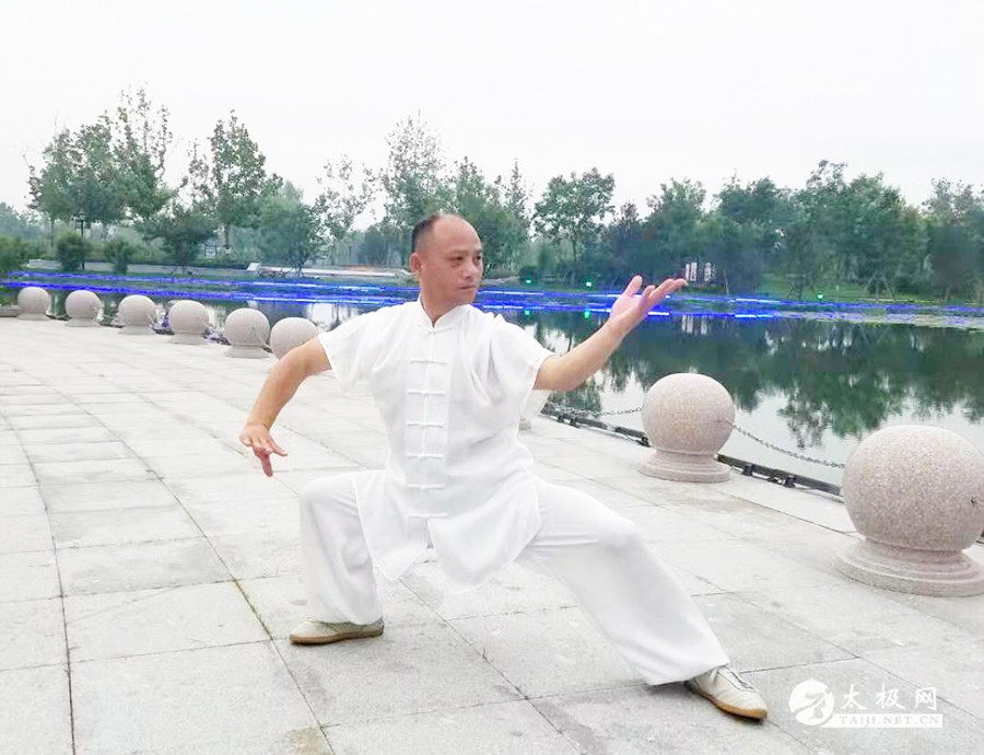 拳照