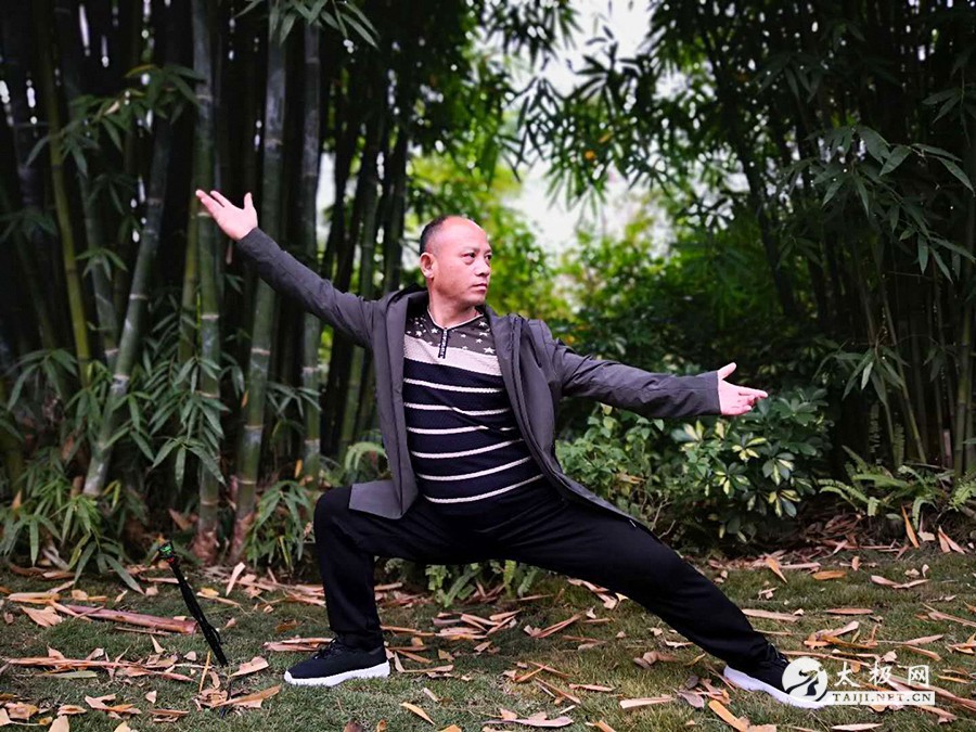 拳照