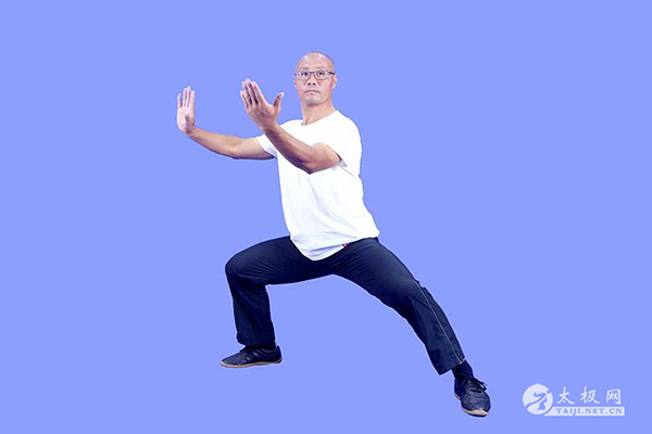 拳照