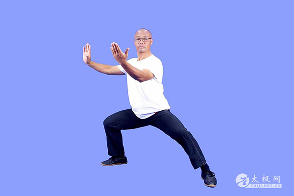 拳照