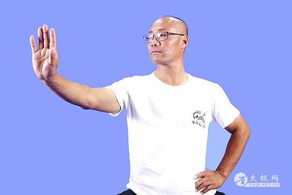 拳照