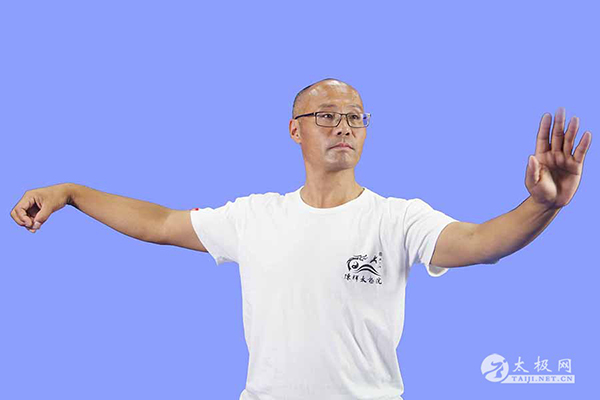 拳照