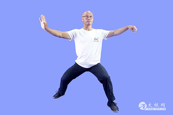 拳照