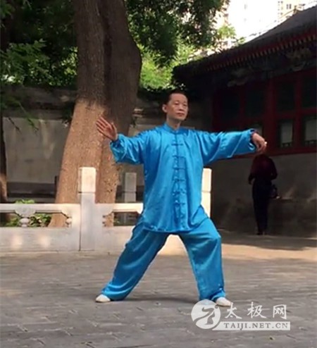 拳照