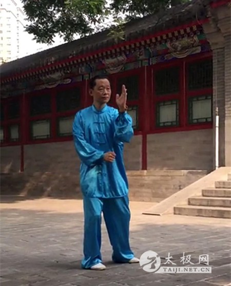 拳照
