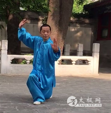 拳照