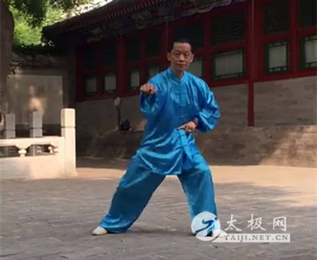 拳照