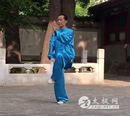 拳照