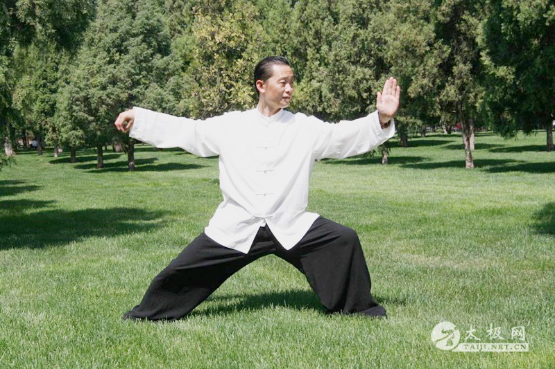 拳照