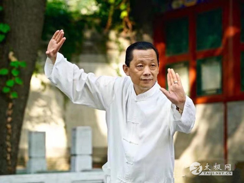 拳照