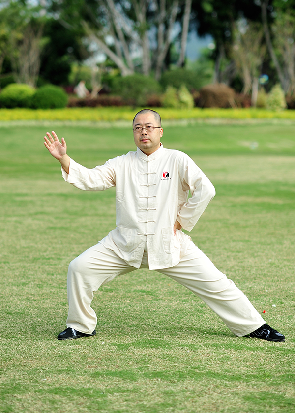 拳照