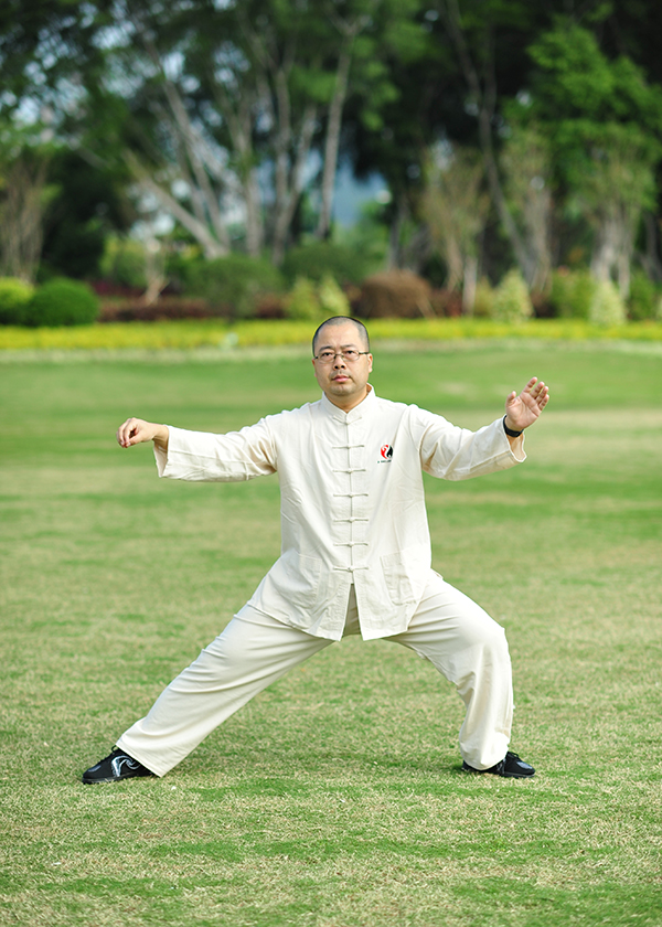 拳照