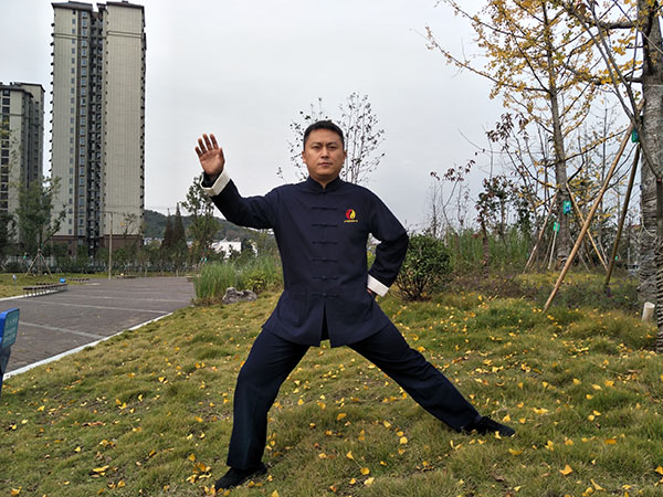 拳照