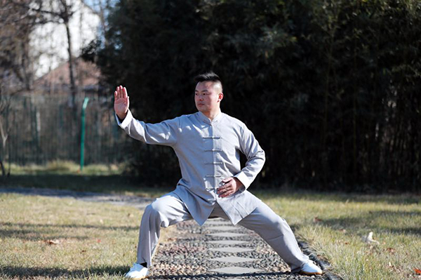 拳照