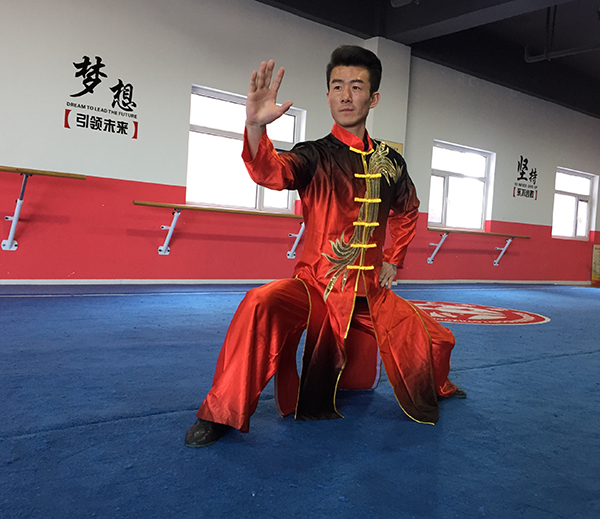 拳照