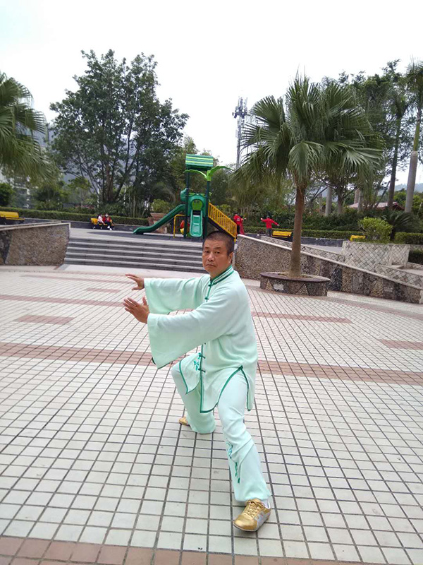 拳照