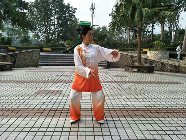 拳照