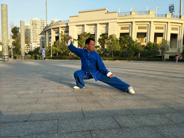 拳照