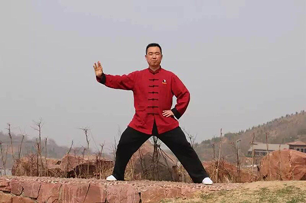 拳照