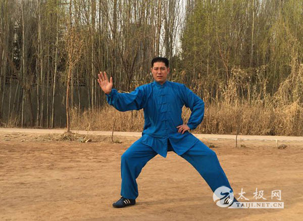 拳照