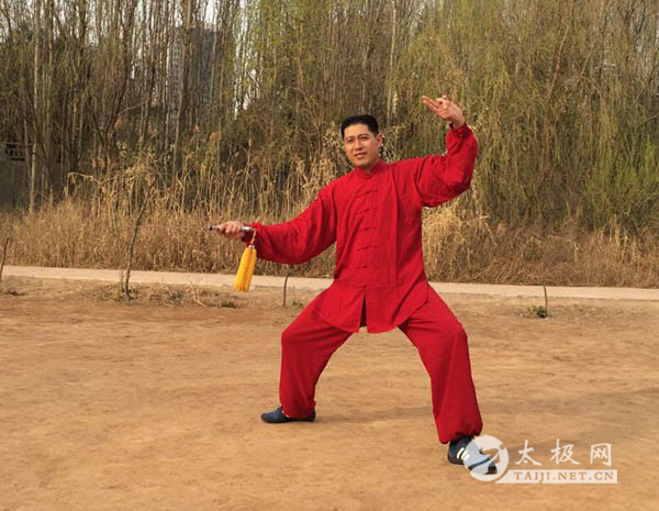 拳照
