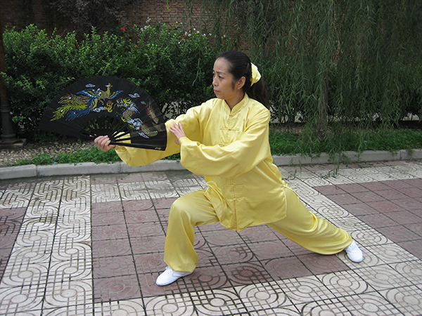 拳照