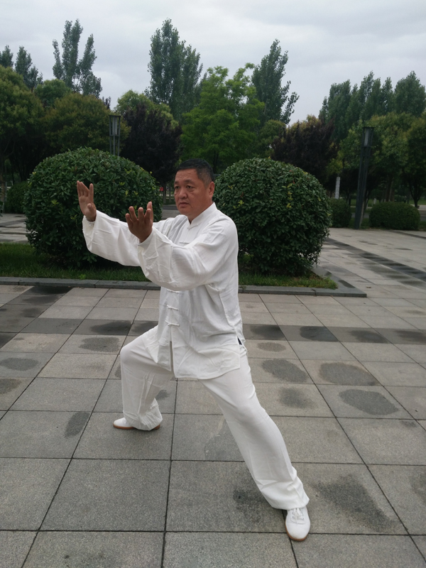 拳照