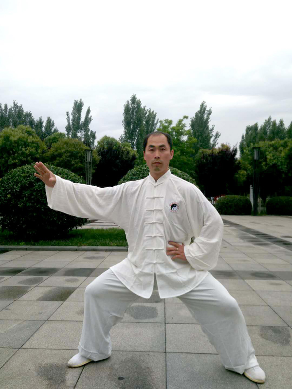 拳照