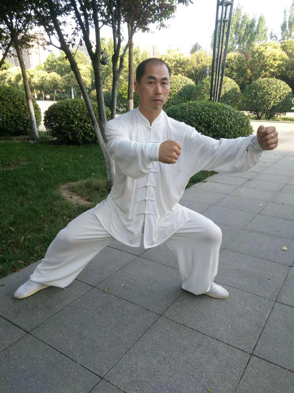 拳照