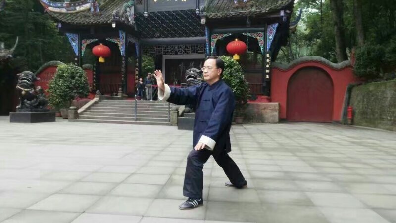 拳照