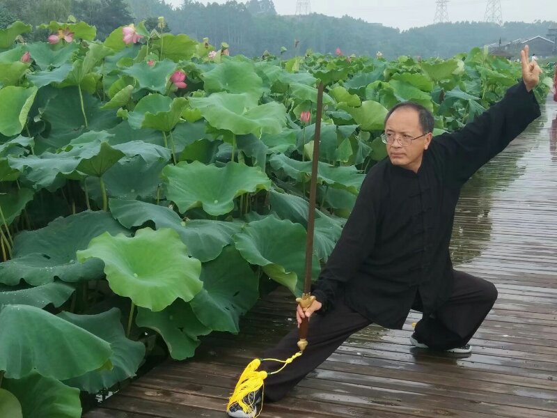 拳照