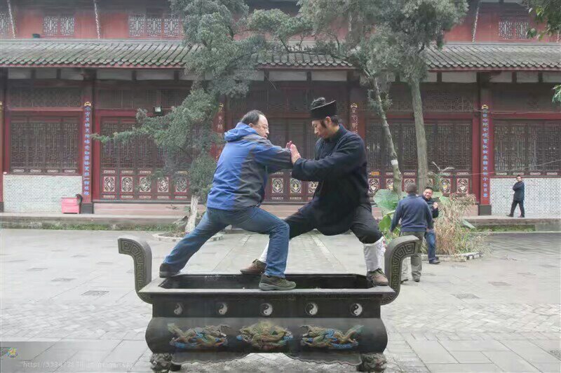合影