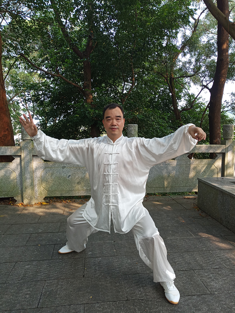 拳照